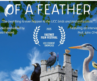 Of a Feather