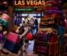 PRECIOUS IN LAS VEGAS
