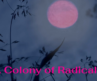 A Colony of Radicals