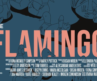 The Flamingo (Trailer)